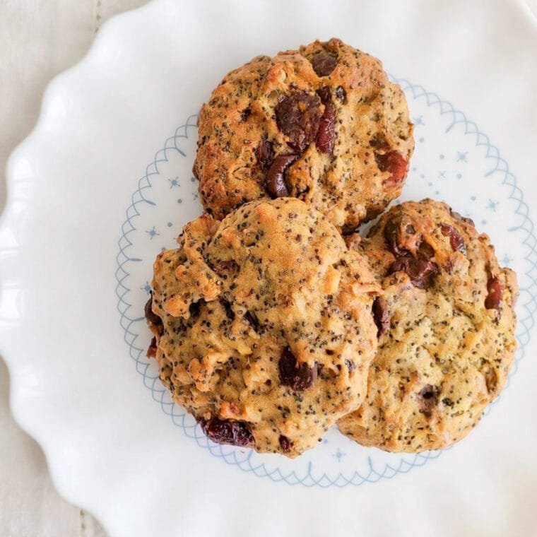 Chocolate Chip Poppy Seed Cranberry and Walnut Cookies