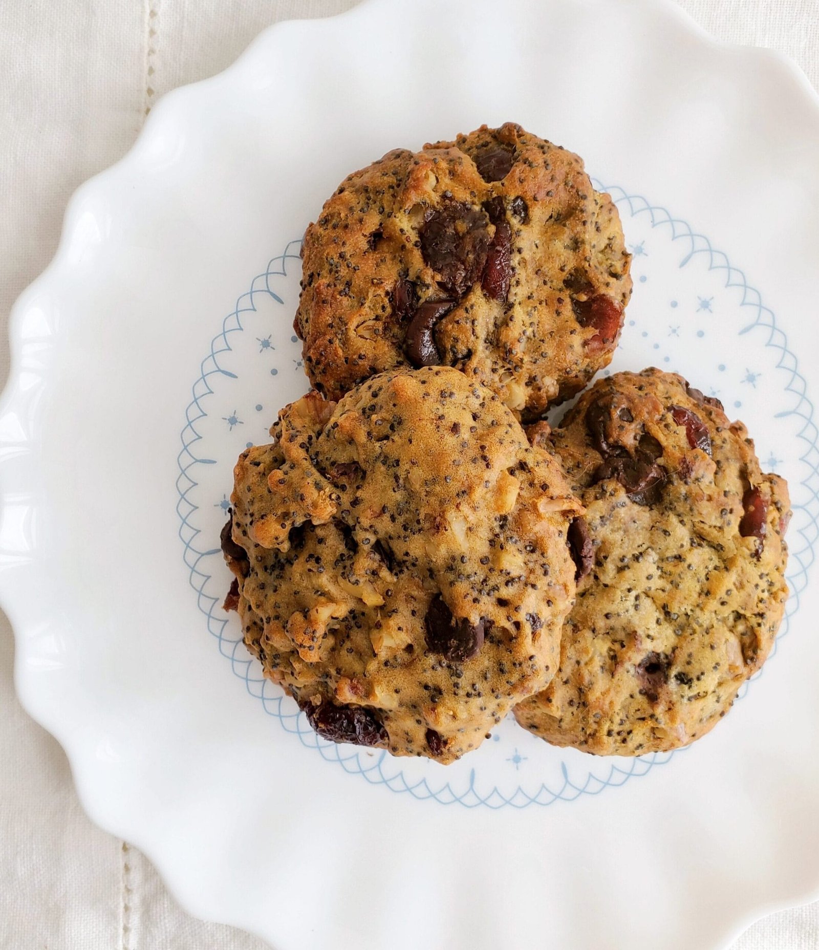 Choc chip cranberry poppy seed cookies main