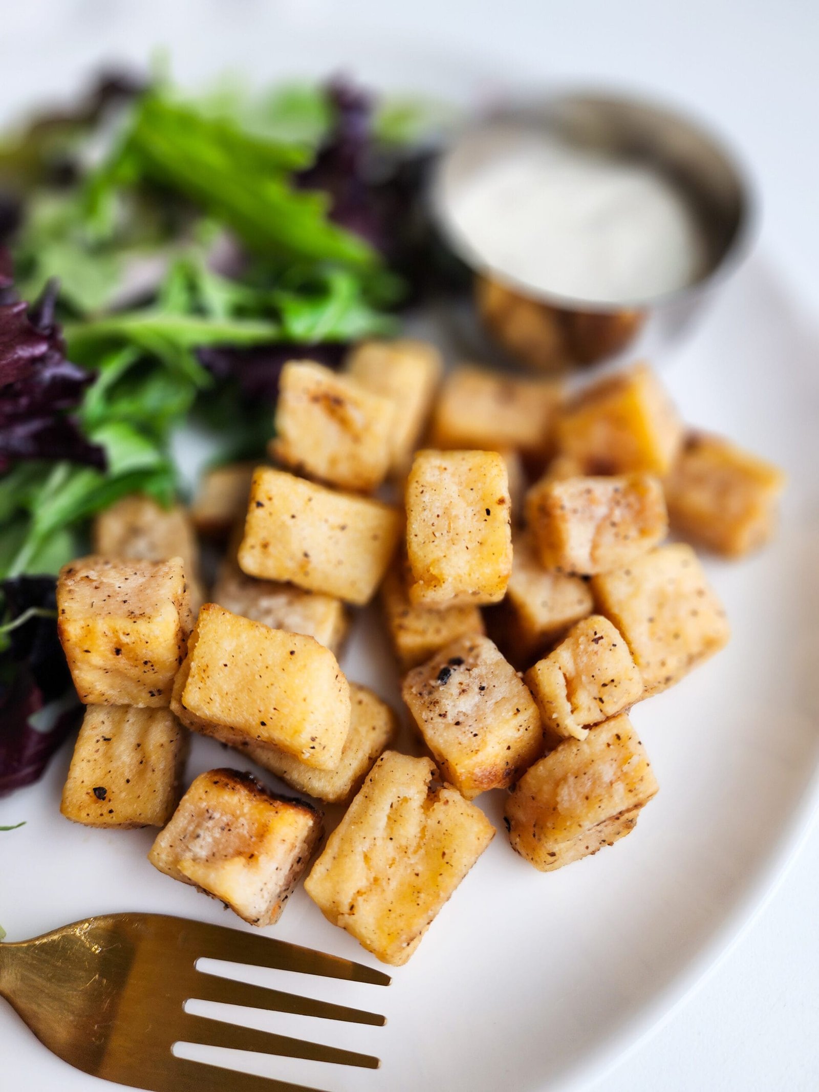 Red lentil tofu 1